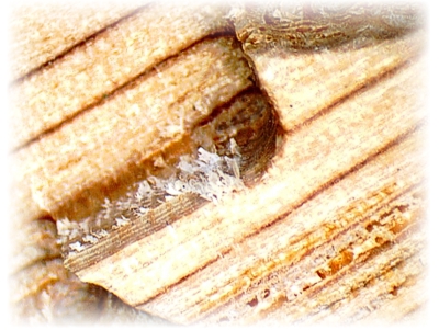 Small features in 3D bass-relief